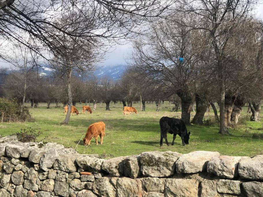 Guadarrama, Atico Nuevo Con Espectaculares Vistas Appartement Buitenkant foto